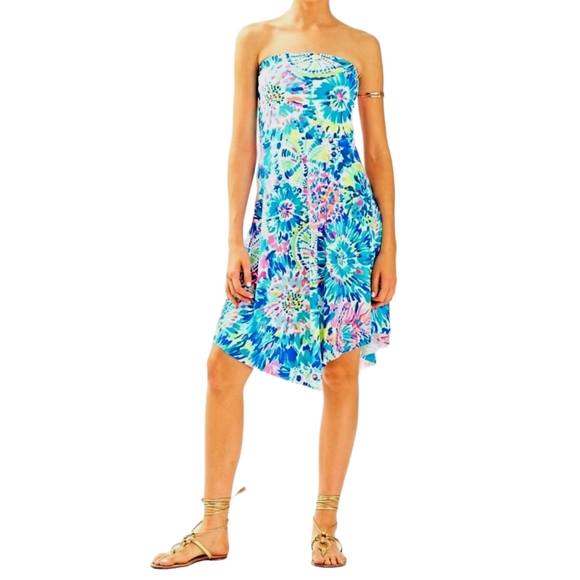 Lilly Pulitzer Loleta Dress in Dive In Size Small - Picture 1 of 2